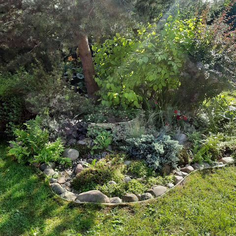 фото - альпийская горка в саду пансионата "Долголетие"