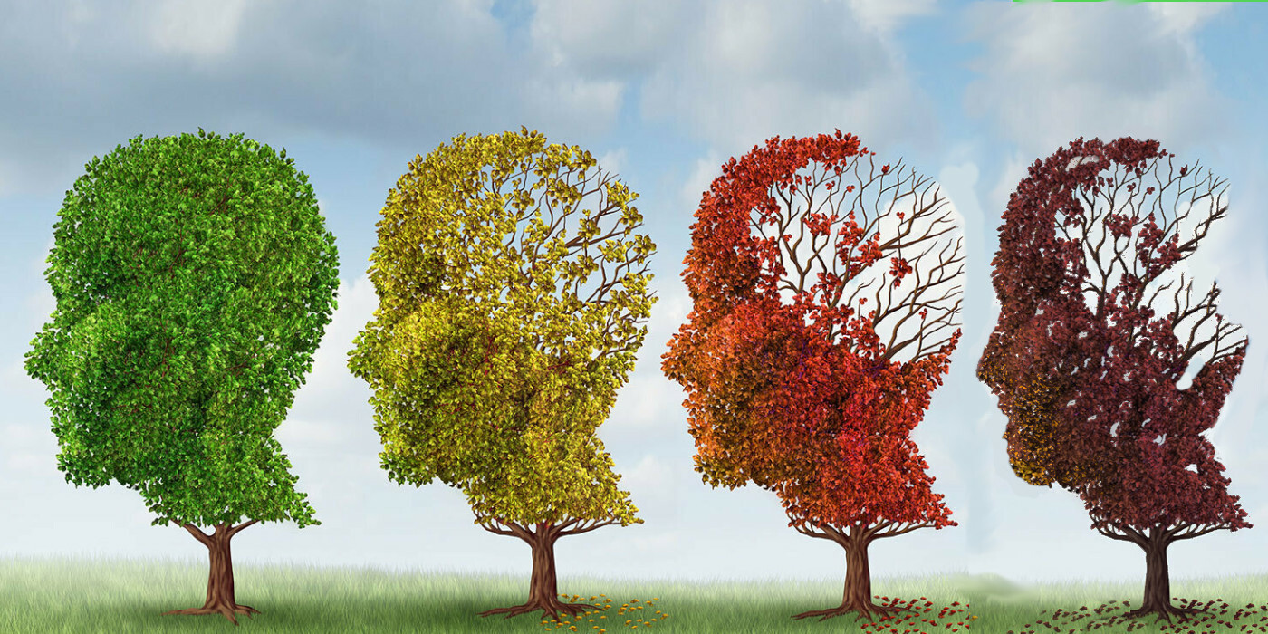 Как проявляется и развивается болезнь Альцгеймера